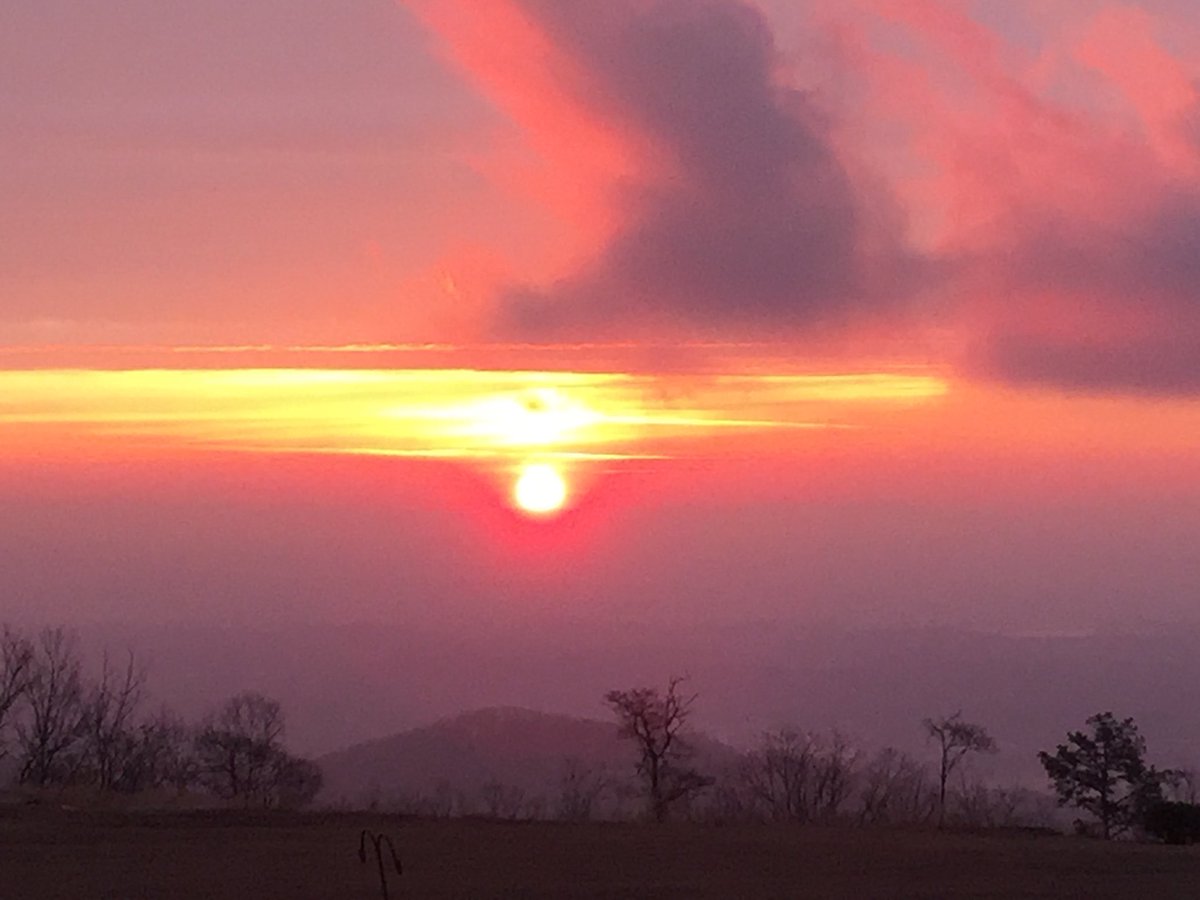 sanditrac's tweet image. Good morning, twitter friends!