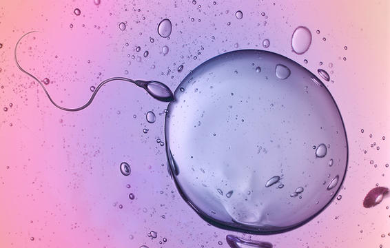ESPercept's tweet photo. Can you get pregnant even if you don't orgasm? 5 Things Every Woman Needs To Know About Her Fertility! https://t.co/yapmIfbC0M https://t.co/dTR2mmOnXS