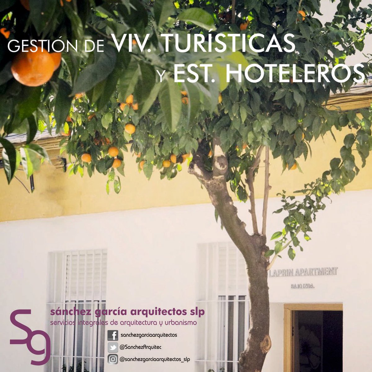 SanchezArquitec's tweet photo. ¿Necesitas poner en marcha tu alojamiento turístico?🏡 Te hacemos todas las gestiones necesarias📋 https://t.co/qmMndt7Dm6… https://t.co/6UF9dpCEyr
