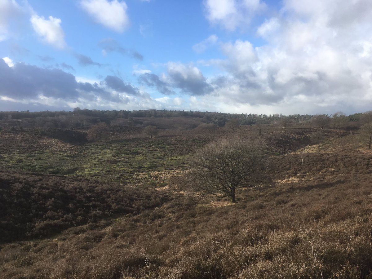 Ook als de heide niet bloeit is het fantastisch op de #Posbank #Veluwezoom <a href="/NM_Gelderland/">NM Gelderland</a> #genieten