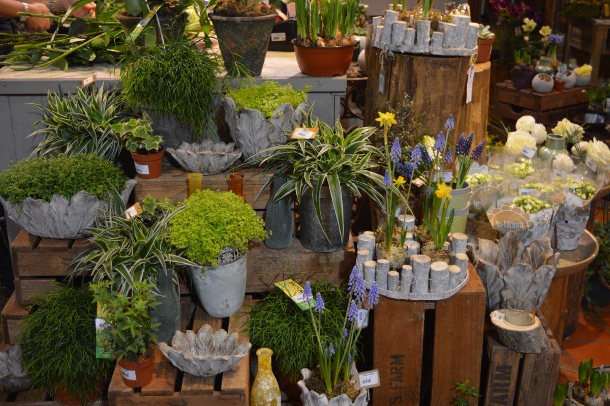 dartsfarm's tweet photo. Beautiful new, #spring inspired displays coming from the #FlowerShack! #FloralFriday https://t.co/jeF0V5v6QI