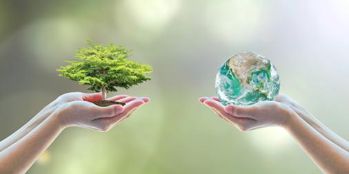 TiRiciclo's tweet photo. @Tetra Pak utilizza #energiarinnovabile per più di un terzo del proprio consumo annuo totale. ♻️ Più info su  https://t.co/2aKjkNvJMN https://t.co/zDtJNmjTuH