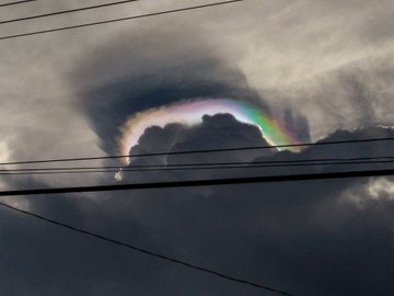 Voir l'image sur Twitter