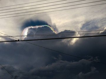 Voir l'image sur Twitter