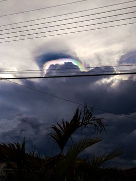 Voir l'image sur Twitter