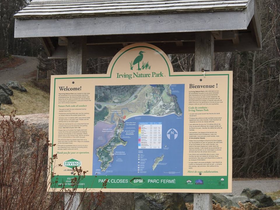 StonehammerGeo's tweet photo. https://t.co/xZB0jFavYQ 'Weekly Wellness Walk' @IrvingNaturePark hosted by @NatureSaintJohn Friday, Jan. 19 1-3pm, #getoutsidenb #stonehammerrocks @VisitSaintJohn https://t.co/RqJfY4t22U