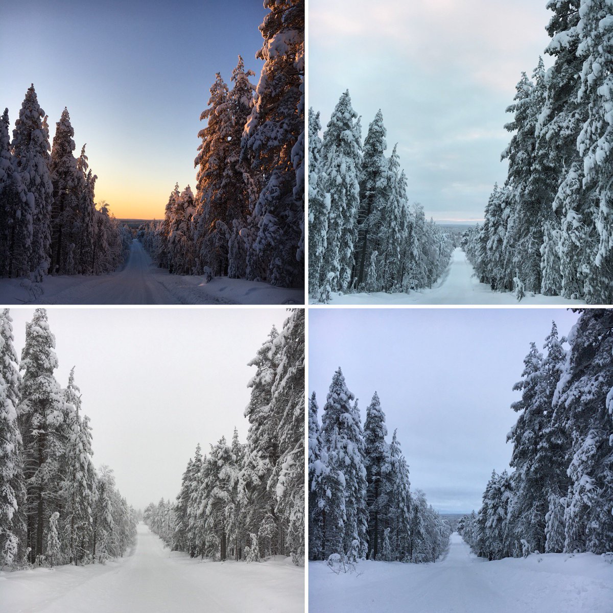 LapinTaikamaa's tweet image. Pictures taken in #Lapland #Finland there is no need to adjust or manipulate color tones #sameview #differentcolors