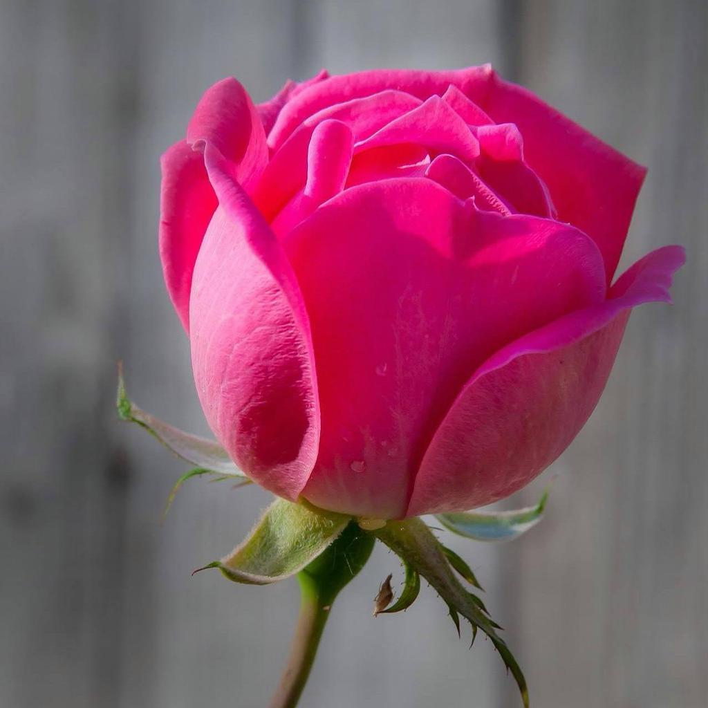 <a href="/Luce1626/">Martine</a> <a href="/maype7/">✿⊱ Mayuli Peña R ✿⊱</a> <a href="/mmjoymm_StP/">LittleRiver</a> <a href="/IrmaCar72161191/">Irma Carvajal</a> @ArcoIrisNqn <a href="/RobVan_Doesburg/">Rob van Doesburg</a> <a href="/sayedali88823/">سيد علي</a> <a href="/rpskataria/">Ramphal Kataria رامپھل کٹاریا</a> <a href="/monique_2307/">monique gorospe</a> <a href="/ROMACARY/">MADIE</a> <a href="/thetideishight/">Allexander001</a> <a href="/BenucciLuca/">benucci luca</a> @DrNicolaromano <a href="/Keith1Chill/">Keith Childress</a> <a href="/franky_tom/">🅣🅞🅜 🅕🅡🅐🅝🅚</a> <a href="/toni3692/">Antonio Pignatiello</a> @nxndndj <a href="/GucciGuccin/">GUCCI〜</a> <a href="/suz78/">✨7877✨</a> <a href="/RobinHe06033386/">Robin Henderson</a>