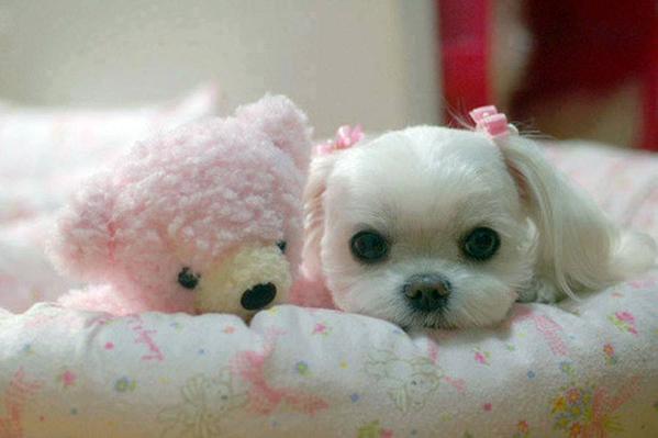 <a href="/Luce1626/">Martine</a> <a href="/franky_tom/">🅣🅞🅜 🅕🅡🅐🅝🅚</a> <a href="/maype7/">✿⊱ Mayuli Peña R ✿⊱</a> <a href="/IrmaCar72161191/">Irma Carvajal</a> <a href="/mmjoymm_StP/">LittleRiver</a> @ArcoIrisNqn <a href="/RobVan_Doesburg/">Rob van Doesburg</a> <a href="/sayedali88823/">سيد علي</a> <a href="/rpskataria/">Ramphal Kataria رامپھل کٹاریا</a> <a href="/monique_2307/">monique gorospe</a> <a href="/ROMACARY/">MADIE</a> <a href="/thetideishight/">Allexander001</a> <a href="/BenucciLuca/">benucci luca</a> @DrNicolaromano <a href="/Keith1Chill/">Keith Childress</a> <a href="/toni3692/">Antonio Pignatiello</a> @nxndndj <a href="/GucciGuccin/">GUCCI〜</a> <a href="/suz78/">✨7877✨</a> <a href="/RobinHe06033386/">Robin Henderson</a>