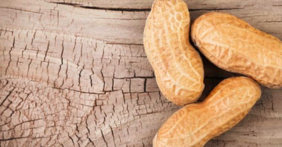 CrazyRichardsPB's tweet photo. @RhythmSuperfood Not only do we love peanuts because they are heart healthy &amp; number of other health benefits... They are also a #Superfood because they release essential vitamins into the very soil they are grown in! They are considered one of the most earth-friendly crops :) https://t.co/plNAGotHPk