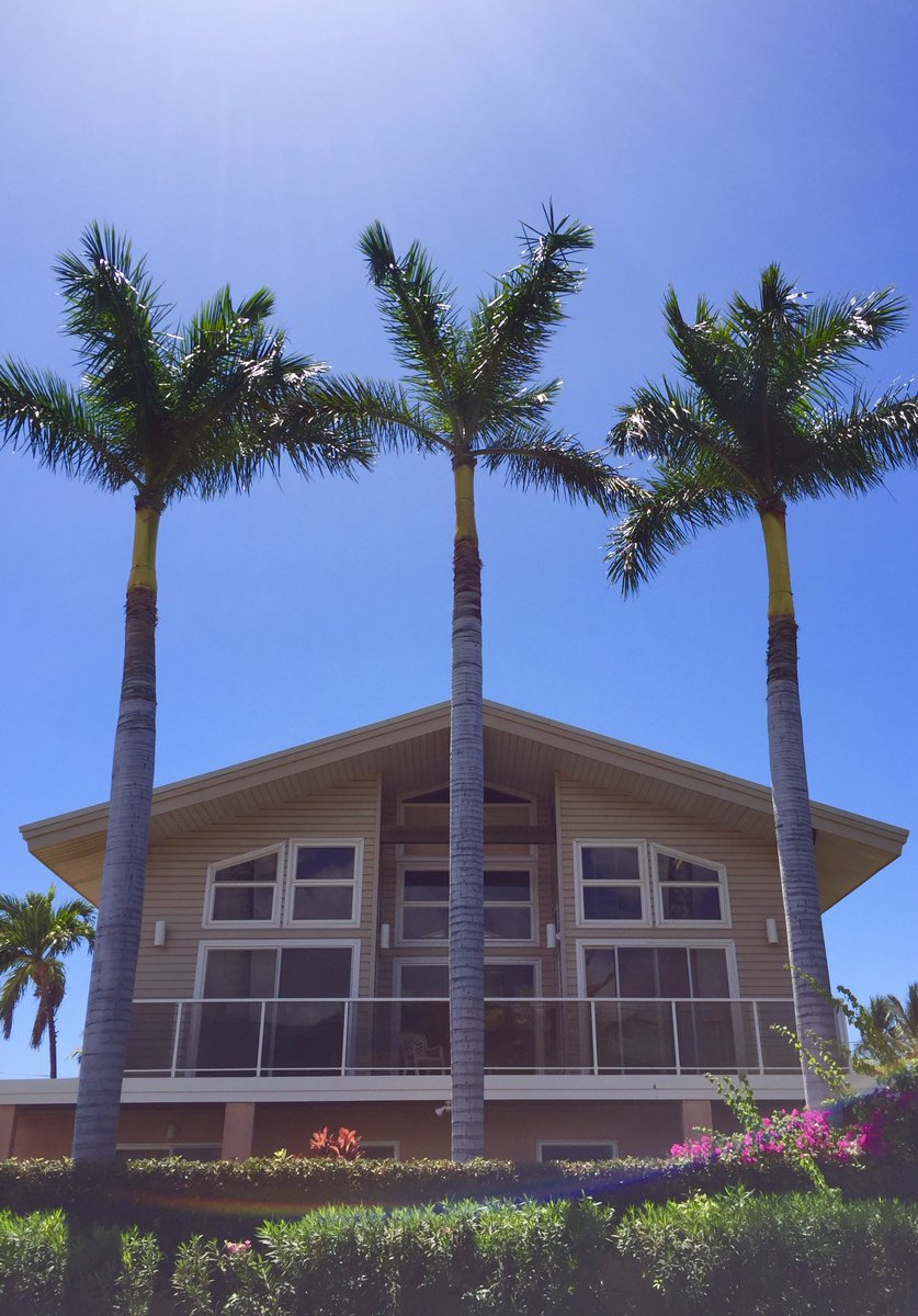 queenmidasdc's tweet photo. PERFECT LITTLE BEACH HOUSE ON THE WATER 🌴🌞 Also, can you spot the 🌈?
#maui #travel #hawaii #beachhouse #rainbow #toronto https://t.co/tFcecOQ0lm