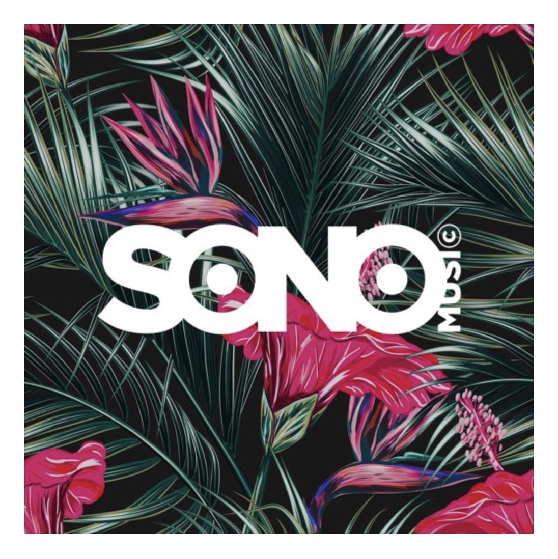 DJYAXX's tweet photo. Yesss our tune “Just Jack” featuring @D__McCarthy is in the 2017  @SONOMUSIC_ Year Mix! 

Listen to the mix on soundcloud!

https://t.co/OHy48rS1Ak https://t.co/WxvnWU9nDO