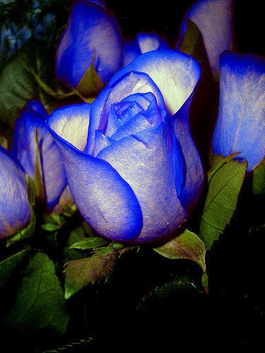 Luce1626's tweet photo. @tinockha1 @maype7 @mmjoymm_StP @IrmaCar72161191 @ArcoIrisNqn @RobVan_Doesburg @sayedali88823 @rpskataria @monique_2307 @ROMACARY @thetideishight @BenucciLuca @DrNicolaromano @Keith1Chill @franky_tom @toni3692 @nxndndj @GucciGuccin @suz78 @RobinHe06033386  https://t.co/e8LiC55wbF