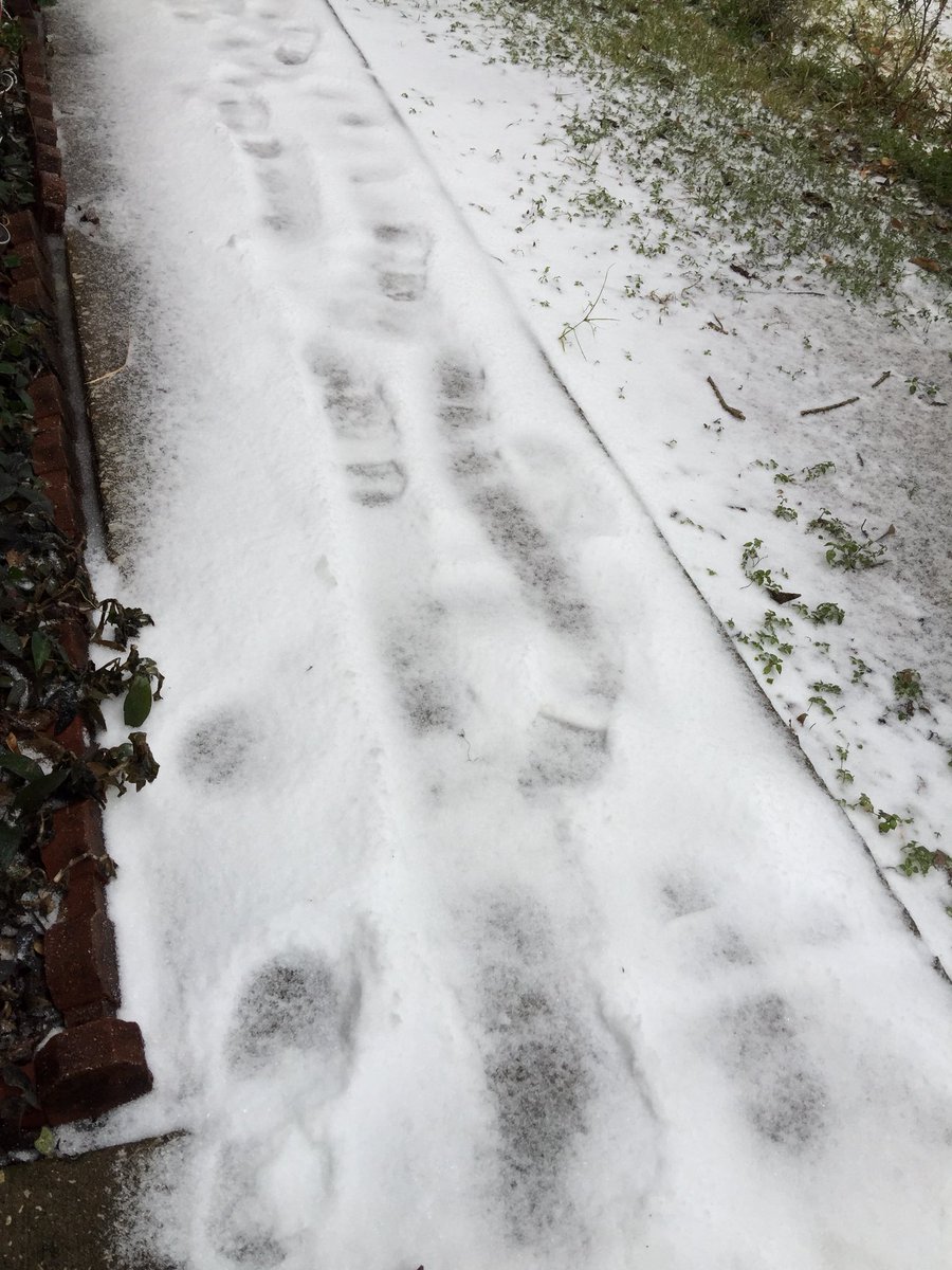 lprdz11's tweet photo. Can’t believe the ice pellets on my walk way....  ONLY in Houston!!!  😜😜😜 #Houston #IceDay #Amazing #onlyinHouston #dayoff #noworkday https://t.co/dbZOfRmgwc