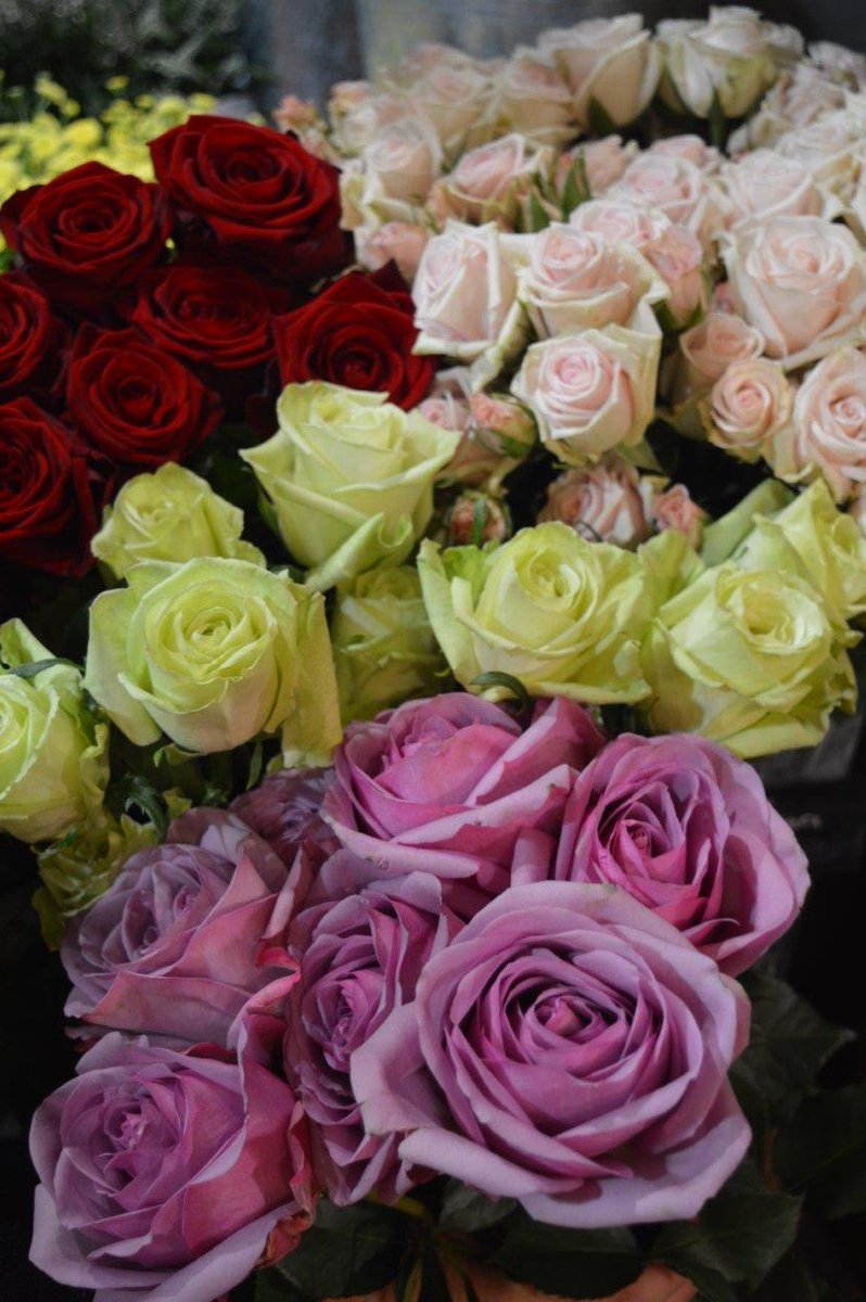 dartsfarm's tweet photo. Spoil that special someone this #ValentinesDay with a beautiful, hand tied bouquet from our #FlowerShack! https://t.co/YrG7OpJ6z7