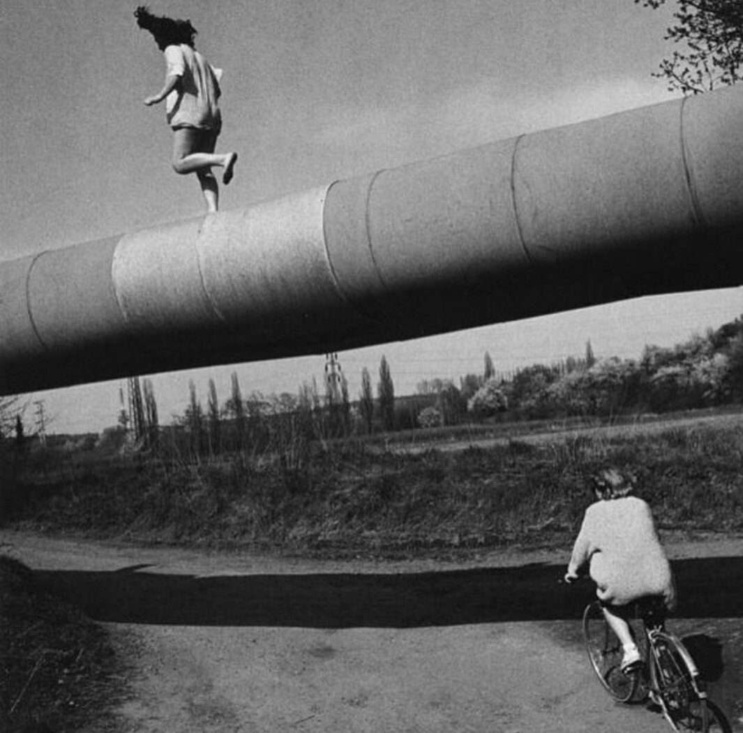 eva_afm's tweet photo. "Ancora oggi, in certo modo, io sono rimasta ferma a quella fanciullesca estate, intorno a cui la mia anima ha continuato a girare e a battere senza tregua"

Elsa Morante 

ph Viktor Kolar https://t.co/kuCdOhQ0fC