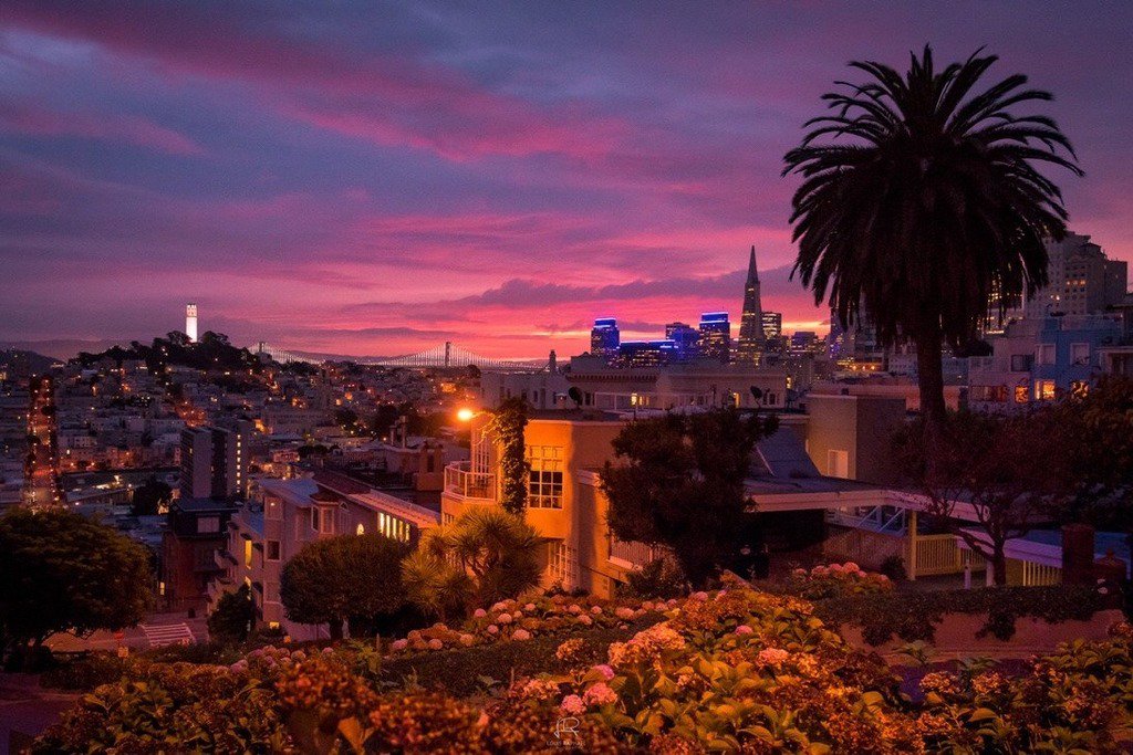 SF_Feelings's tweet photo. Electrifying sunrise from Lombard St, San Francisco by @louisraphaelsf [Enjoy +images at https://t.co/DjAaSsAySL] | The Best Photos and Videos of San Francisco and the Bay Area. #sanfrancisco #california @california https://t.co/3BTQxf7s6b