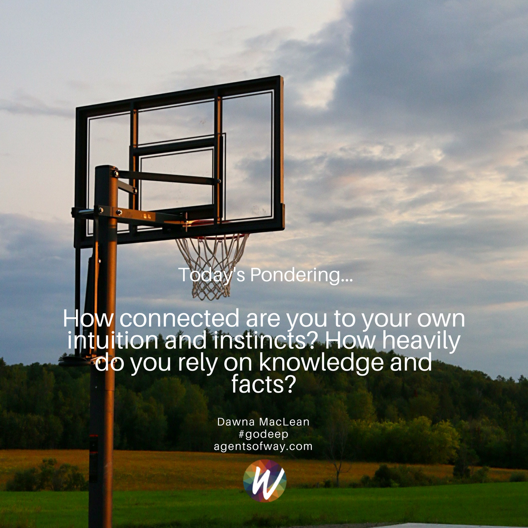 dawnamaclean's tweet photo. "Intuition" is our natural ability to know something without any proof or evidence. "Instinct" is a way of behaving, thinking, or feeling that is not learned, it's a natural desire or tendency. They are a natural part of being a sensing human being.  Listen to your wisdom within. https://t.co/0ip33Nc85U