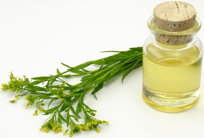 NatureBiotech's tweet image. With a free pass, #CRISPR-edited plants reach market in record time - @EmWaltz rdcu.be/EQwM #agbiotech #biofuels