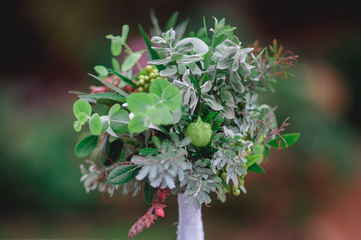 MILOPCIONES's tweet photo. “El color tendencia para el #ramodenovia es el verde greenery". Enterate por qué y descubrí más tendencias: https://t.co/7qI6814uDN 💐@DiFazio_fotos @RoloSaldivar @_AhoraSI @novia_vestidos https://t.co/rzRSs98ou2