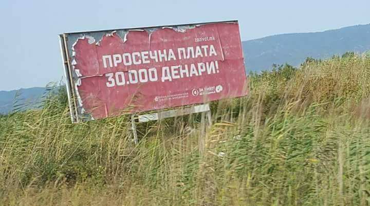 Grower (@botanicarobt17) on Twitter photo 