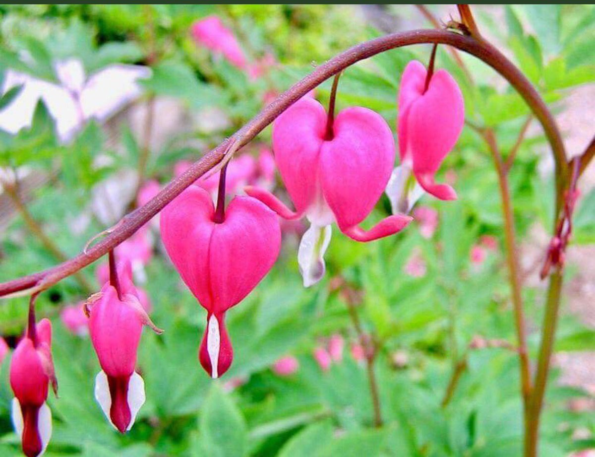 وأحرصَ على حفظ َ القلوب من الأذى فرجوعها بعد التنافريصعبُ
إنّ القلوب اذا تنافر ودّها شبه الزّجاج كسرها لا يُشعب

❥❥❥
┊┊⇣
┊⇣
⇣ 

#صوت_الحق_للدعم
#اليك_كلامي