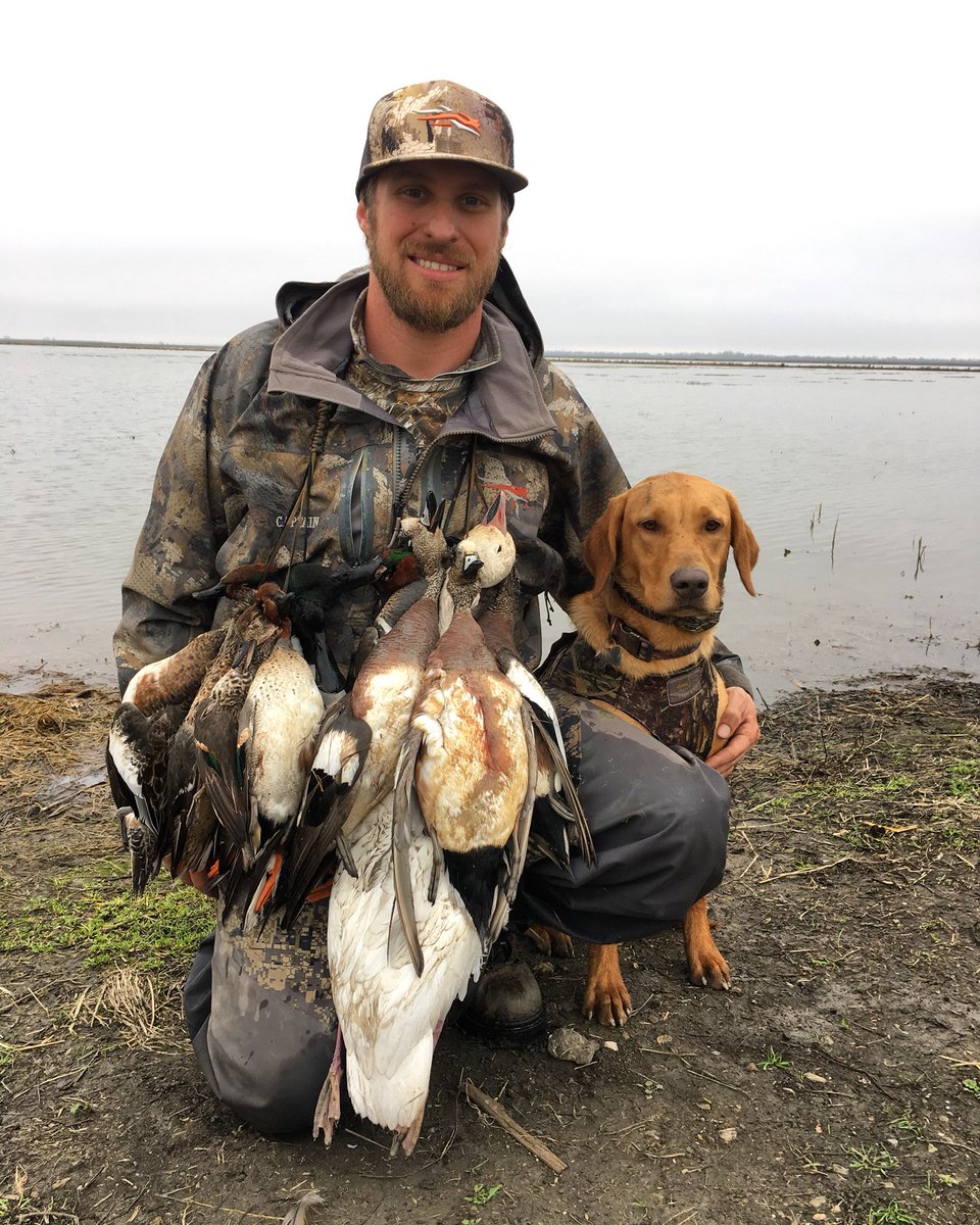FCHunting's tweet photo. Haven’t been on much lately but my 9 months old pup is sure coming along! Making dad proud! https://t.co/Hqm1fjCual
