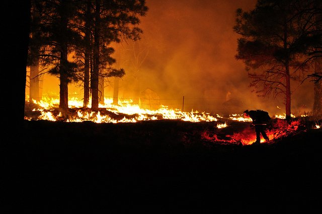 StateForesters's tweet image. Did you know? The bill to provide a wildfire funding solution was analyzed as the most bipartisan bill in the last congressional session. The need is urgent and support is strong…let’s get a #FireFixNow ow.ly/kFbe30hOaDN