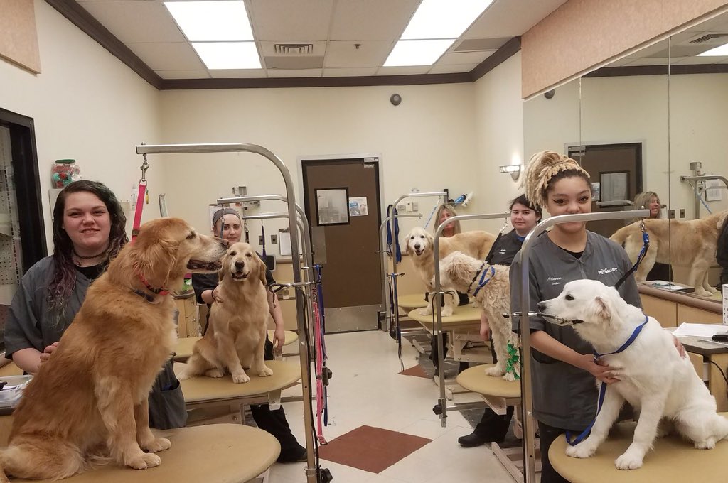 PetSmart_Newtown (1479Petsmart) Twitter