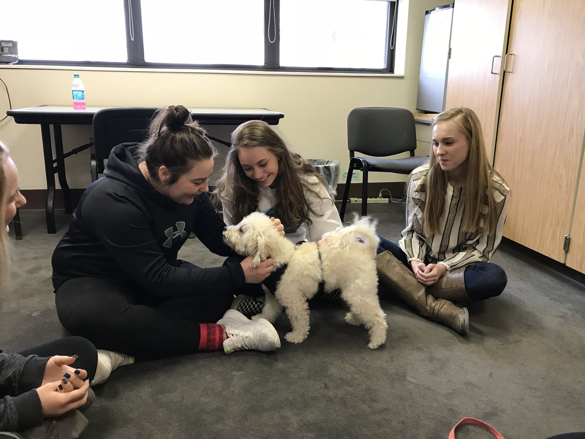 TJHS_SOCIALWORK's tweet photo. Thanks to Animal friends for allowing us to play with their certified therapy pets Dimitry and Finnegan.  The students and staff were eager for stress relief during midterm week!!! https://t.co/20UQDTAtxG