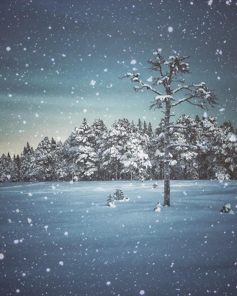 PhotoMove_'s tweet image. #photography #photos #tour #studio #studios #friends #samsung #sea #gün #günbatımı #vestido #snow #azul #red #espejo #reflejo #ella #escritorio #picoftheday #instapic #modelo #diseño #costura #morena #mirada #nikon #d7200 #nikonistas #gente #social #mujer #Disney