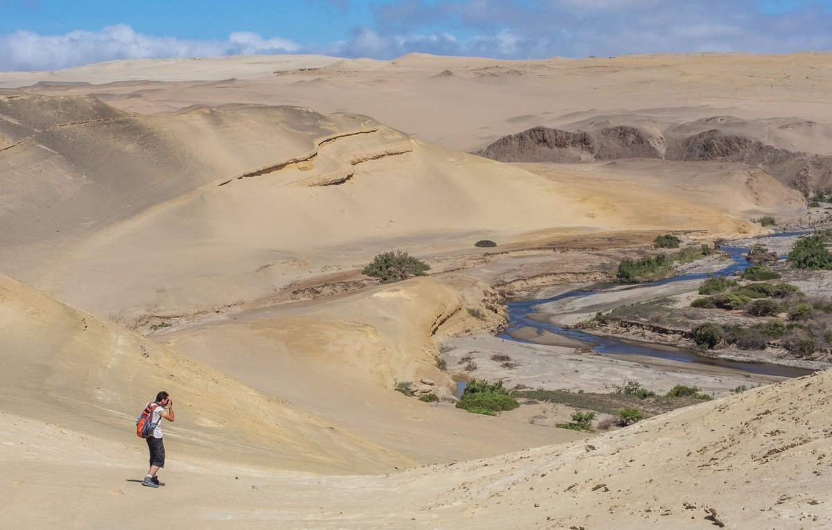 ExplorJunkie's tweet photo. 12 Easy #Tips to Instantly Improve Your #Travel #Photography! https://t.co/QKIc1EOmUi #Photographytips https://t.co/bAUBb5uj5J