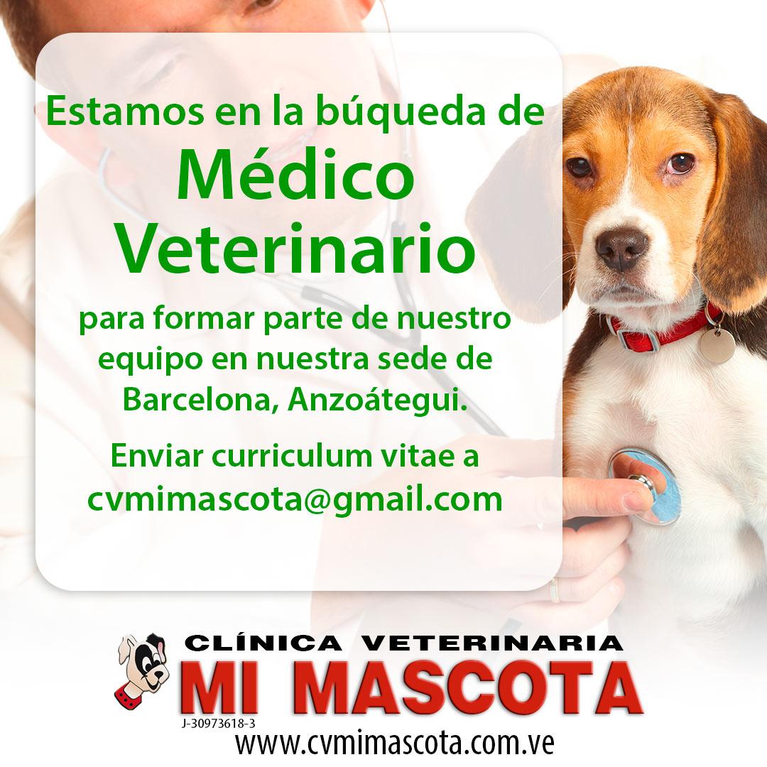 cvmimascotaco's tweet photo. En la  Clinica Veterinaria Mi Mascota estamos solicitando Médicos Veterinarios #cvmimascota #veterinarios #veterinariosbarcelona #veterinariobna https://t.co/Vq4GJe3cbR