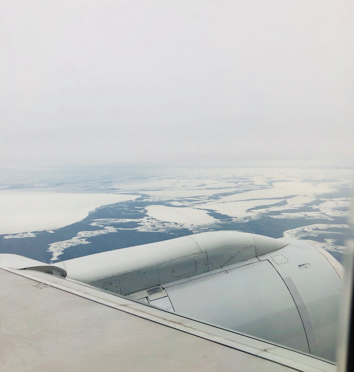 Zoe Torres tweet media