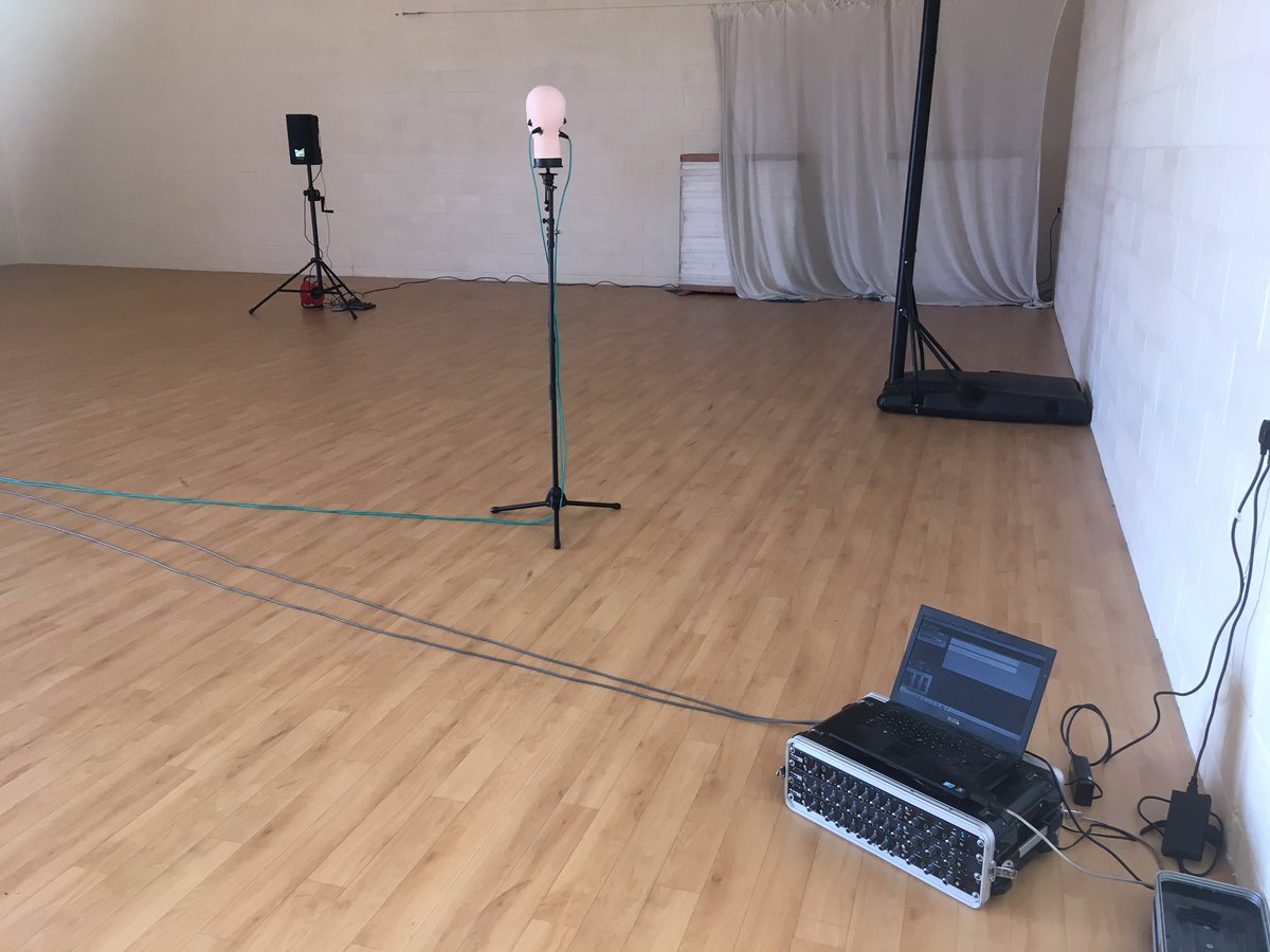 AASussex's tweet photo. Carrying out some #Binaural Recording of a Multifunction Sports Hall. Today was our "head's" first outing. #Acoustics #Venue #Sound #RT60 #Reverberation #Echo #MAudio #Profire #Reaper https://t.co/IrbpIJbwi6