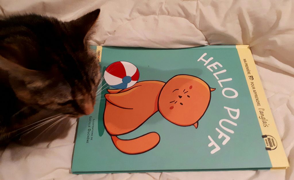 Chattycatbooks's tweet photo. Elle est arrivée... et qu'elle est belle ! 😻 Notre nouvelle #BD #HelloPuff pour  initier les tout-petits à l'anglais, lue et approuvée par la vraie Puff ! Disponible en librairie le 23 janvier !! #anglais #Chattykitty https://t.co/jExL8QTZWL