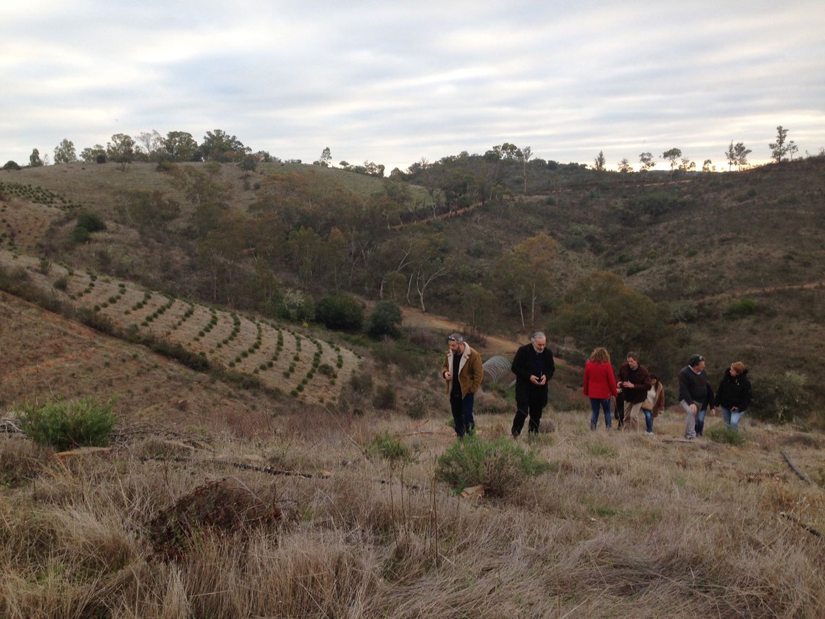 adpmmertola's tweet photo. Ainda no âmbito da 4ª Reunião do projeto #ValuePAM - a ADPM Mértola e os parceiros do projeto estão a visitar a Herdade de Vale Covo,.
ValuePAM é uma iniciativa cofinanciada pelo FEDER, através do programa Interreg Sudoe (Programa de Coop o Interreg V-B na Península Ibérica). https://t.co/YljNcO8Y4I