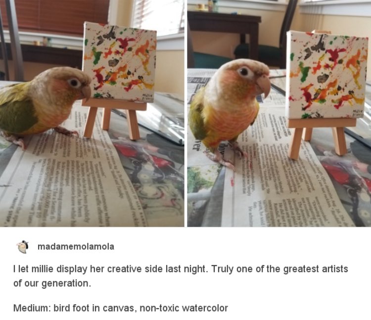 RespectfulMemes tweet picture