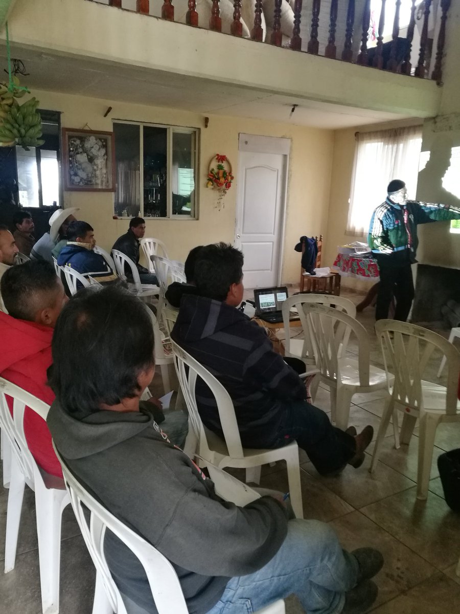 ROSACER14329571's tweet photo. Proceso de Alineacion con fines de Certificacion en base al EC0272 Cosecha de Café, Chiconcuautla, Puebla @Mely_Romero @incarural @PerlaIbaez2 @linosma @LeticiaInca https://t.co/5eCCvFoigo
