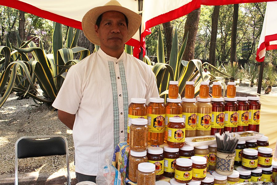 ChapultepecCDMX's tweet photo. Productos orgánicos y producción local en el #DomingoVerde: 21 de enero en el Jardín Botánico, de 10 a 16 h. 

#QueNoSeTePase https://t.co/swTwheJfO1