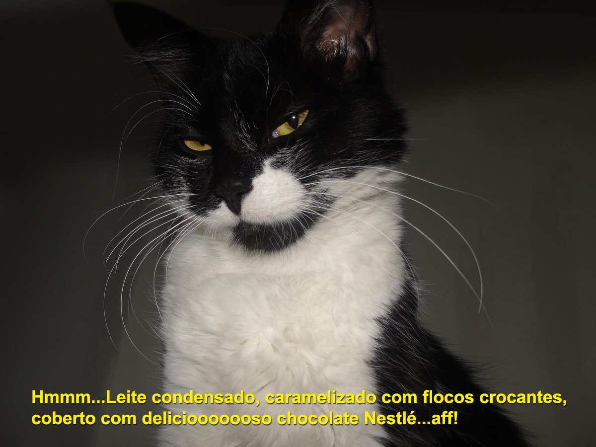 ByMarcosMoraes's tweet photo. @NatCAFreitas  https://t.co/ujyb0RWtzN