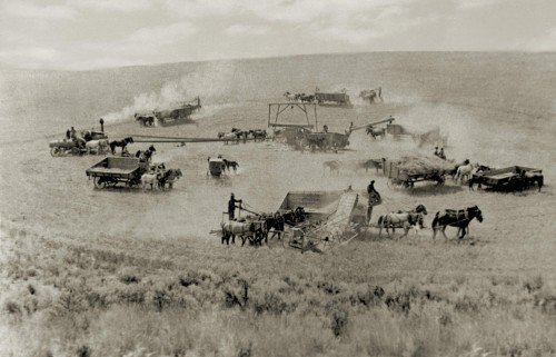 prosserwine's tweet photo. Early wheat farming in the Horse Heaven Hills AVA of SE Washington State. #FarmLife #WAWine https://t.co/bZeahzeYBZ