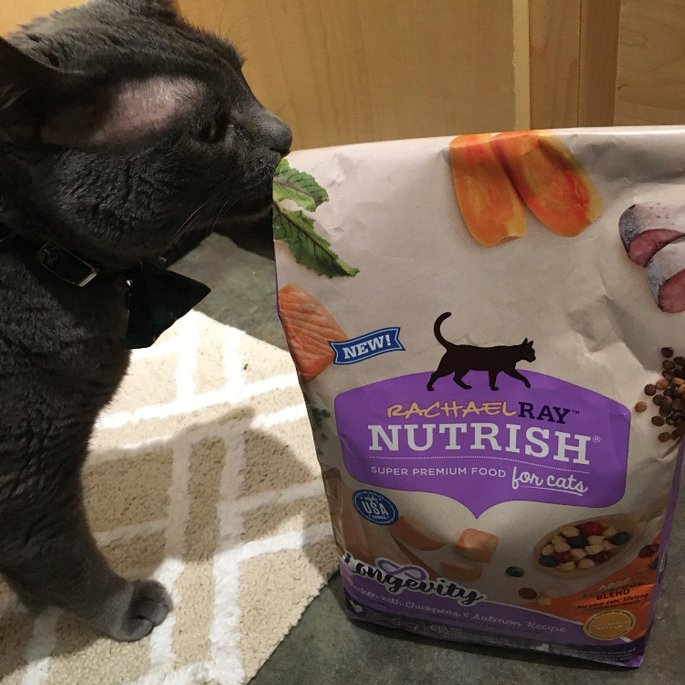 TrainWithBain's tweet photo. Any new food demands an inspection. #NutrishPets #VixBox #GotItFree #Influenster https://t.co/4Wx02wBlb4
