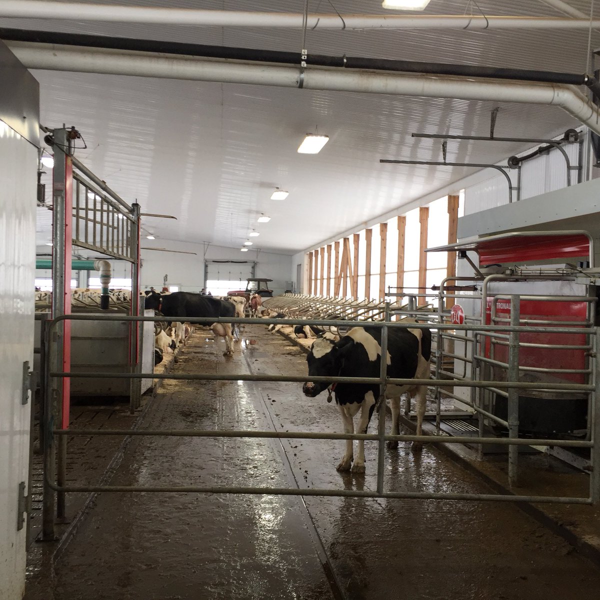 Grand River Robotics bus trip is touring again! First stop is Westport Holsteins.  2 robots, 3 row w/ waterbeds. #GRRBusTour18