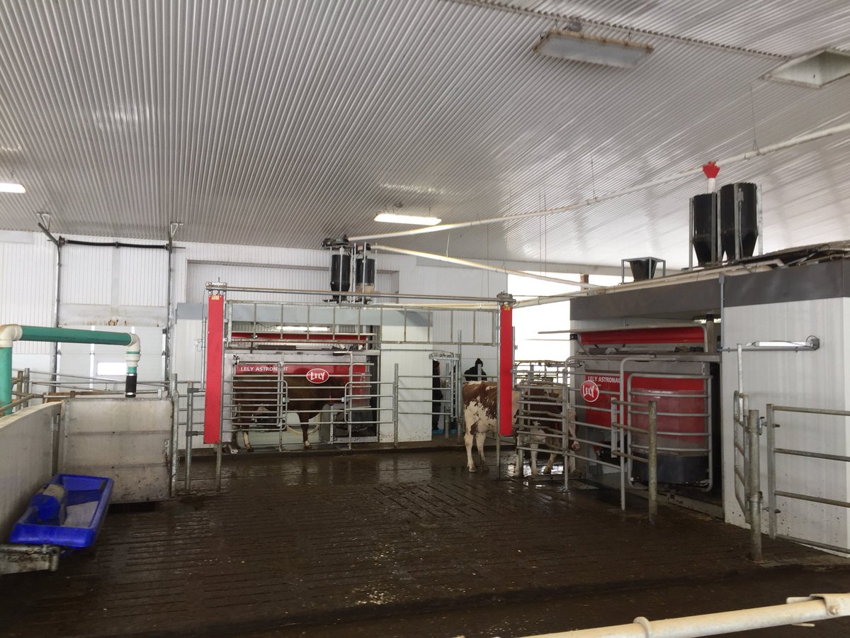 WalshRobyn's tweet photo. Grand River Robotics bus trip is touring again! First stop is Westport Holsteins.  2 robots, 3 row w/ waterbeds. #GRRBusTour18 https://t.co/Wl7dbWXZXb