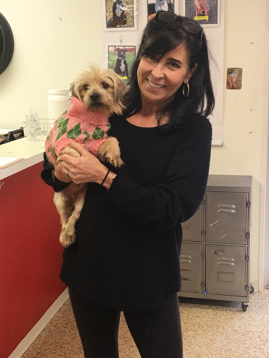 Look at all the adoptions we had yesterday! Everyone needs a warm fuzzy companion in these cold days. Please keep your animals inside and provide shelter and warmth to those who have no home. #ritabhuff