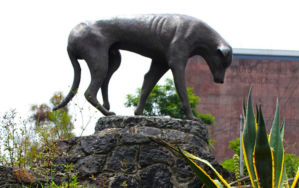 vista del monumento al perro callejero