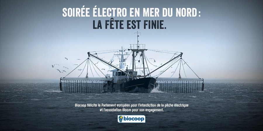 Biocoop's tweet photo. Les fans d’éléctro vont être déçus, le Parlement européen vient d’interdire la pêche électrique en Mer du Nord !
Une décision sage que nous saluons !  Un grand 👏 aussi à @bloom association pour son engagement militant. https://t.co/ixP8poqX8s