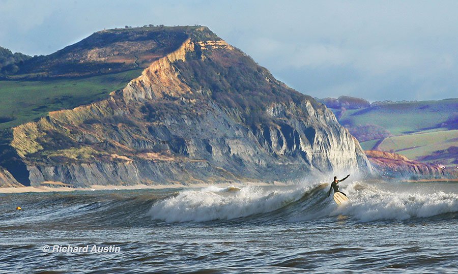 Richard Austin tweet media