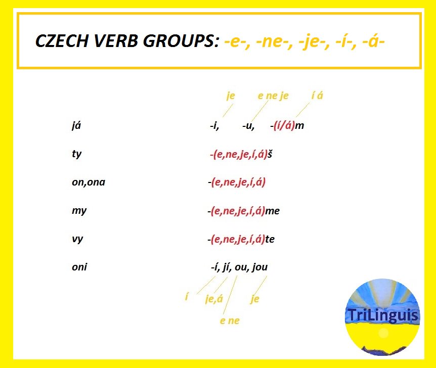 Studyczech